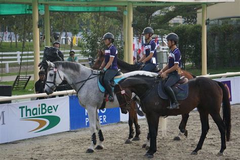 馬鞍|中華民國馬術協會Chinese Taipei Equestrian Association